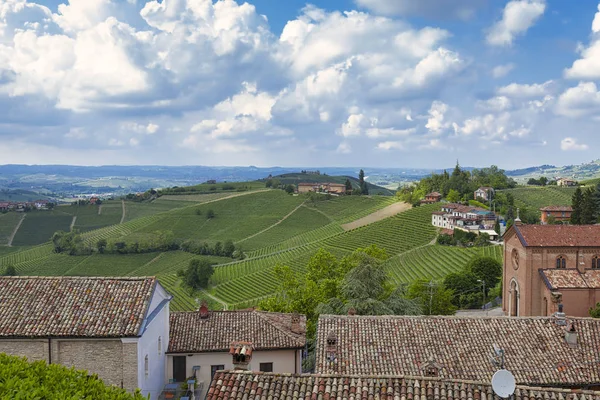 Vignobles Dans Campagne Langhe Piémont Italie Nord Pris Point Vue — Photo