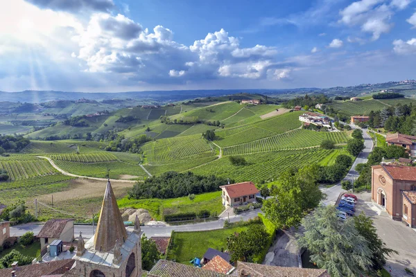 Vineyards Langhe Countryside Piedmont Northern Italy Taken Viewpoint Serralunga Alba — Stock Photo, Image