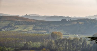 Üzüm bağları, Langhe (Piedmont bölgesi, Kuzey İtalya); dedikodu bölgesinin kapsadığı tepelerin üstünde günbatımı Panoraması Langhe, Roero ve Moferrato dedikodu bölgeleri Unesco Dünya Mirasları 2014 yılından bu yana vardır..