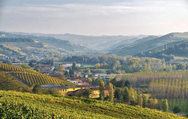 Panorama Sunset Hills Covered Vineyards Vinery Region Langhe Piedmont Region — Stock Photo, Image