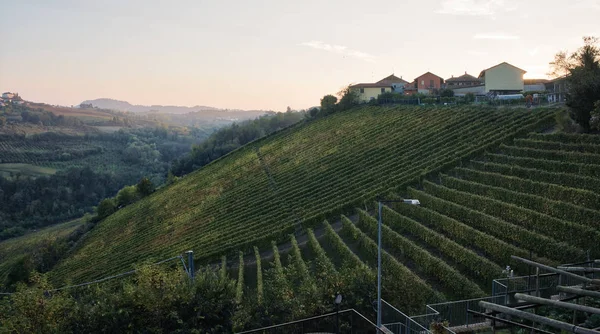 Panorama Západ Slunce Nad Kopce Pokryté Vinicemi Vinarna Oblasti Langhe — Stock fotografie