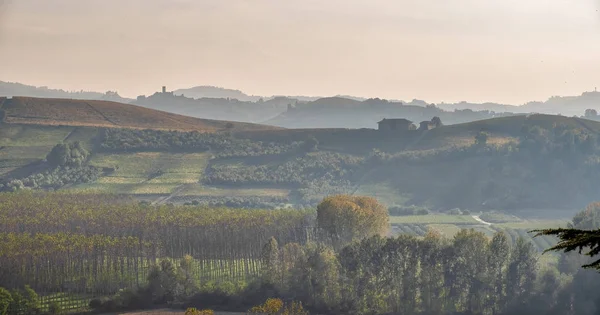 Panoráma Naplemente Dombokon Szőlő Borászat Régióban Langhe Piemont Régióban Észak — Stock Fotó