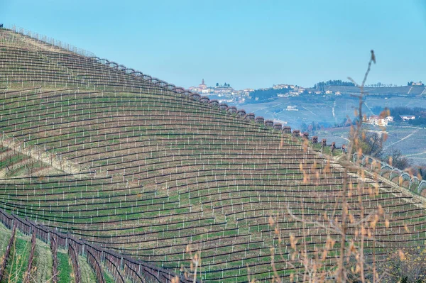 Panorama Hivernal Des Vignobles Région Vinicole Vallonnée Langhe Piémont Italie — Photo