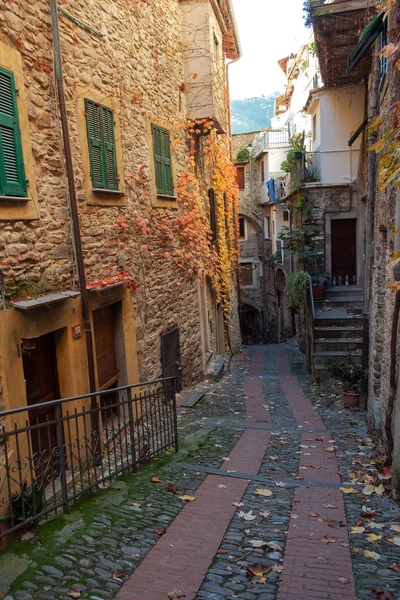 Veduta Del Centro Storico Del Piccolo Borgo Dolceacqua Regione Ligure — Foto Stock