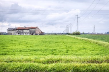 Uncultivated field ready for sowing, in the Northern Italy countryside (Piedmont, Novara Province) during early springtime. clipart