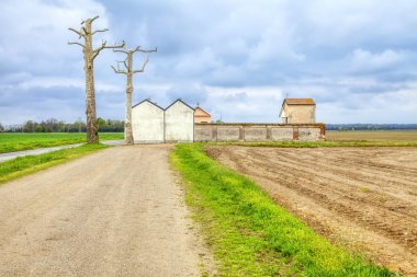 Old cemetery, of a little village in the Northern Italy countryside (Piedmont, Novara Province). clipart