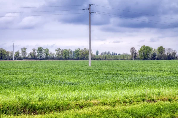 Udyrket Mark Klar Såing Landet Nord Italia Piemonte Novara Tidlig – stockfoto