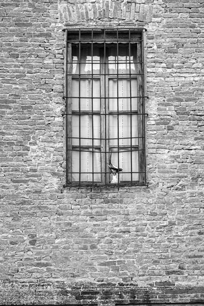 Una Vieja Ventana Antiguo Palacio Italiano Época Renacentista Emilia Romaña —  Fotos de Stock