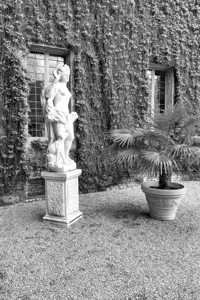 从古代意大利宫殿的后院欣赏一个细节 巴洛克风格 帕尔马 意大利北部 艾米利亚罗马涅大区 — 图库照片
