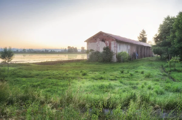 Erken ilkbahar aylarında, su ile kaplı bir çeltik üzerinde gündoğumu panoramik görünümü. Piedmont, Kuzey İtalya, pirinç yetiştiriciliği İtalyan arazi (Novara, Vercelli ve Pavia Eyaleti arasında).