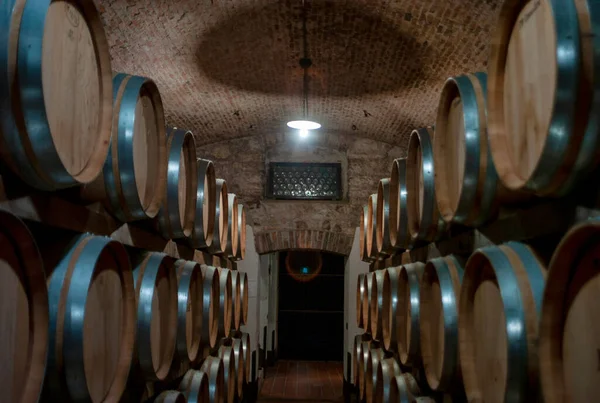 Valpolicella Bölgesi 'nde (Verona Eyaleti, Veneto Bölgesi, Kuzey İtalya) üretilen dünyaca ünlü Amarone kırmızı şarabının şarap mahzeninde saklanan şarap fıçıları.).