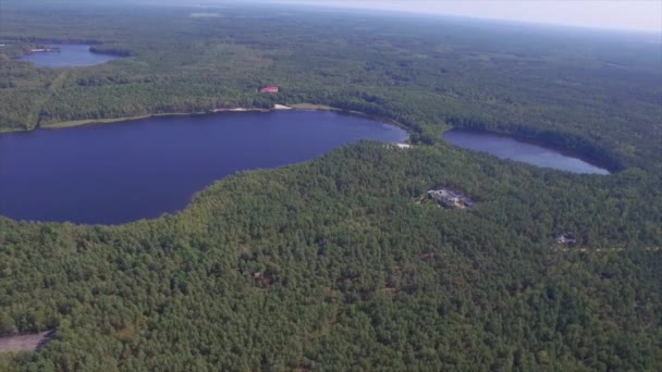 鬱蒼とした森のツリーを空撮飛行トップ湖スローモーション緑の苔模様 ベラルーシの森エリアを垂直パン松梢水面を追跡上空 — ストック動画