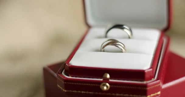 Two Designer Twisted Wedding Rings Lying Red Box Table Indoors — Stock Video