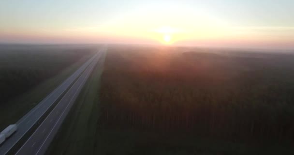 Vliegen Groene Uitgestrekte Bos Boom Tops Weg Snelweg Bij Zonsondergang — Stockvideo