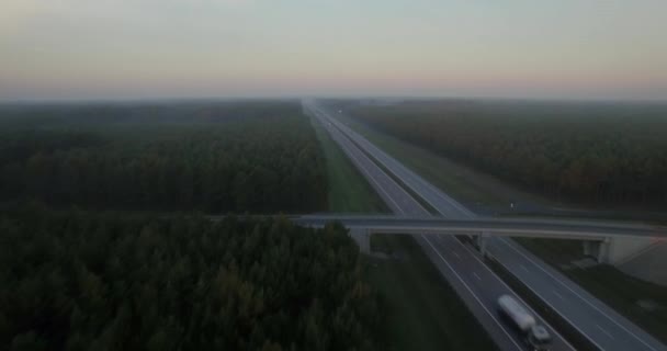 飞越双车道 在农村的十字路口 每天交通绿色的薄雾林地树顶 欧洲生态区货物物流中公路货车行驶的鸟瞰图 — 图库视频影像