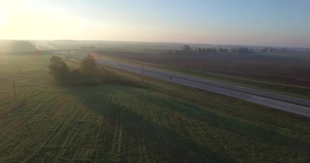 Panoramiczny Widok Lotu Ptaka Rozległy Zielony Płaszczyzny Podwójnego Jezdni Autostrady — Wideo stockowe