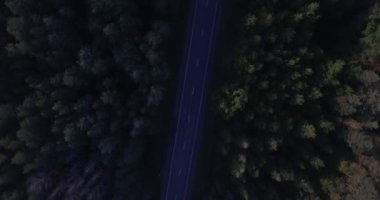 4 k hava yukarıdan aşağı görünüme eski iki şeritli bir orman yol yeşil ağaçlar yoğun orman taşıma araçları ile yamalı. Yerel parça dron dört helikopter çekim kuşlar göz üzerinde perspektif doğa arka plan üzerinde uçuş