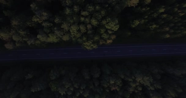交通機関を移動表示車をゆっくりと下降ズーム鬱蒼とした森地方道路上をドローンします 車線道路と緑の梢の森を空中飛行追跡リンク側面の環境保護 — ストック動画