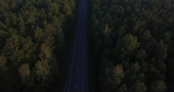 Dört helikopter ekoloji sorunları üzerinde yol ile büyük yoğun orman doğal manzara 4 k rising. Hava uçuş zemin temiz çevre yeşil ağaç tepelerinin ormansızlaşma yeryüzünde arka plan hareketli robot