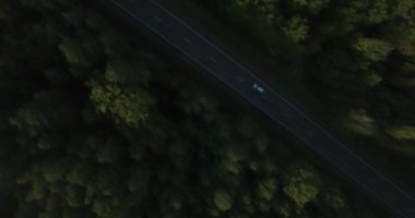 Çapraz yarısı 4 k yoğun yeşil ağaç vuruşta bölen yolun üzerinde uçan Quadcopter en fazla orman. Yukarıdan aşağıya hareket hava görünümünü ormanda otoyol trafik. Çevre kavramı toprak koruma ormansızlaşma