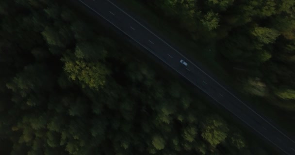 Quadcopter 斜め半分 高密度グリーン ツリー トップス フォレスト上のショットを分割道路の上を飛んでします 空撮森高速道路交通が動く上下します 環境コンセプト地球保護森林 — ストック動画