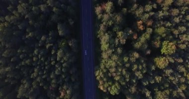 4 k uçağı yoğun yeşil orman büyüyen asfalt yol üzerinde uçan her iki hareketli taşıma. Ormanda iki şeritli otoyol karayolu hava atış görünümü top. kargo lojistik teslimat ulaşım