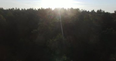 Uçak helikopter yoğun ormanda yerel yol gündoğumu kırsal üstten görünüm gösterilen 360 derece dönme. Büyük yeşil orman orman ağaç tepelerinin karayolunda sabah güneşi üstünde hava küresel pan Panoraması ışınları