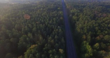 4k doğal hava yukarıdan aşağıya görünümünü iki şeritli bir asfalt yol geniş ormanlık sabah erken güneş ışınları. Otoyol yeşil yoğun orman ağaç tepelerinin kırsal uçan helikopter güzel manzara