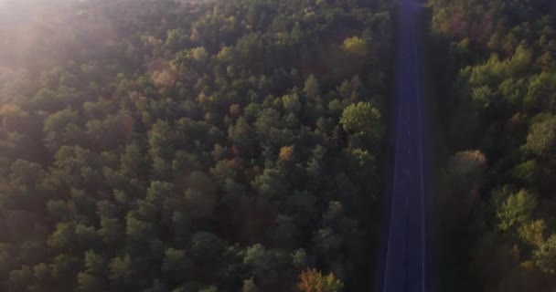 球状空中パンの平面図緑梢北部森林木工業界です サンライズ朝の自然光で鬱蒼とした森森の中でローカルの空の道の上を飛んでヘリコプター ドローン ターニング — ストック動画
