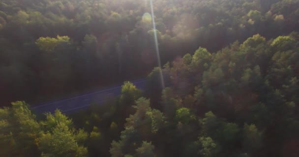 Luchtfoto Top Shot Horizontale Bijhouden Van Groene Bossen Asfaltweg Bij — Stockvideo