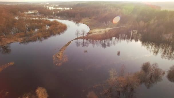 Voler Dessus Une Forêt Verte Inondée Campagne Sauvage Lever Soleil — Video