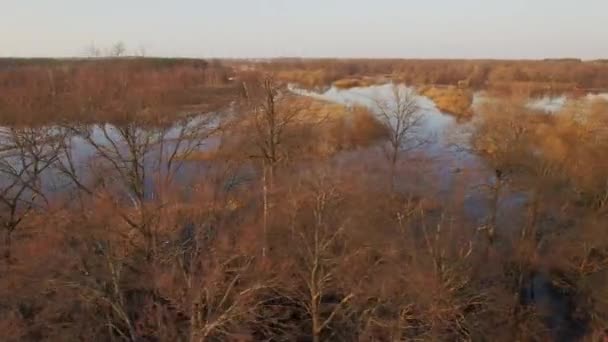 Беспилотный Четырехместный Вертолет Поднимающийся Над Обширными Затопленными Лесами Река Переполняется — стоковое видео