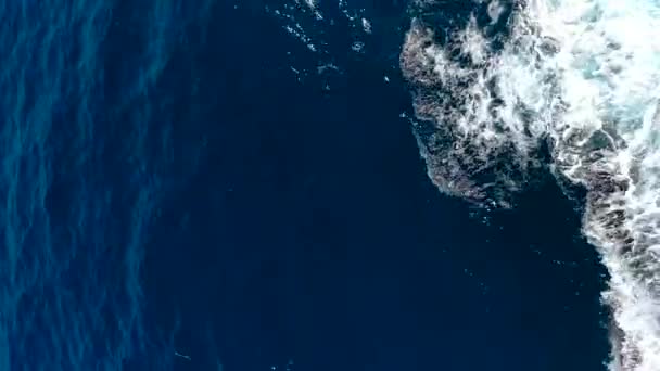 Verticale Tracking Shot Van Drone Vliegen Waterrand Oceaankust Met Witte — Stockvideo