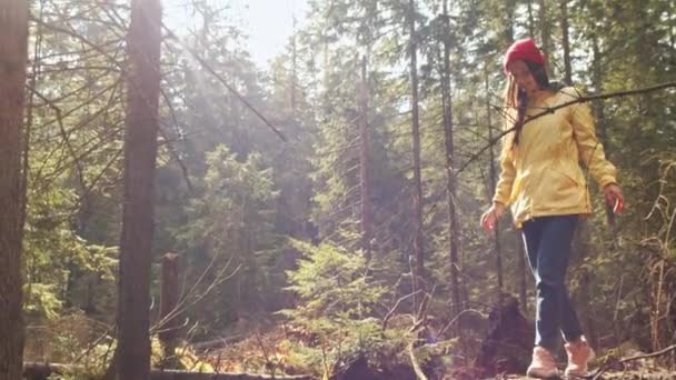 幸せな女の子は 木の幹屋外晴れた日4Kスローモーションのバランスをとって歩きます 自然の太陽の光に微笑んで森の中を一人で歩く若い女性ハンドヘルドカメラ 休暇の余暇を楽しむ幸せ — ストック動画