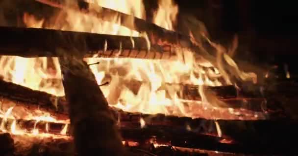 Macro Shot Bois Brûlé Extérieur Dans Forêt Bois Chauffage Incandescent — Video