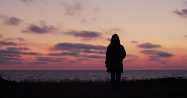 海辺のスローモーションで一人で海の夕日を見つめるシルエットの女性のバックビュー 海辺に立つ女の子旅行者は 屋外の自然な夕方の光でバックライト ストレス克服うつ病の精神安定剤 — ストック動画