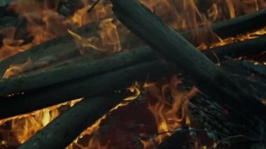 Ormandaki büyük kamp ateşi akşamları parıl parıl yanıyor. Odun ve turuncu kırmızı alevlerin, şöminenin sıcacık atmosferinde yavaşça yanan odunların güzel yakın çekim görüntüleri.