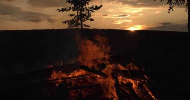 Loderndes Lagerfeuer Brennt Während Des Sommerabends Brennende Holzgelbe Flammen Naturromantischer — Stockvideo