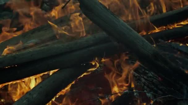 Grand feu de camp de grumes brûle vivement dans la forêt en soirée. Magnifique plan rapproché cinématographique de la combustion lente du bois avec des flammes de feu rouge orange dans la cheminée Ambiance chaleureuse CINEMAGRAPH 
