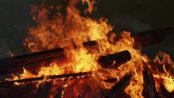Big Bright Colorful Bonfire Logs Burns Outdoor Close Велика Пожежа — стокове відео