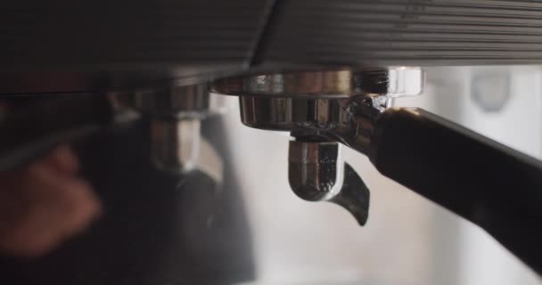 Unrecognizable Barista Attaching Portafilter Placing Cup Dispenser Professional Coffee Machine — Stockvideo