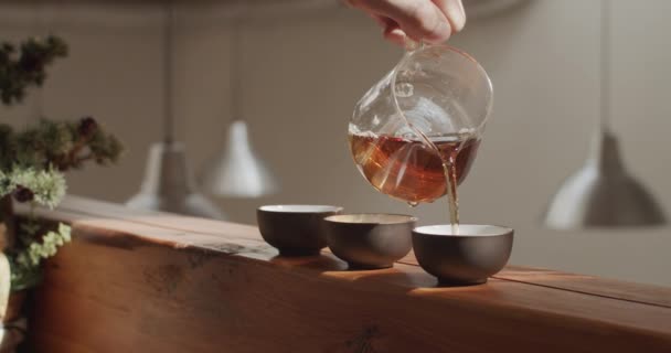 Unrecognizable Person Pouring Elite Chinese Tea Small Teacups Standing Wooden — Stock Video