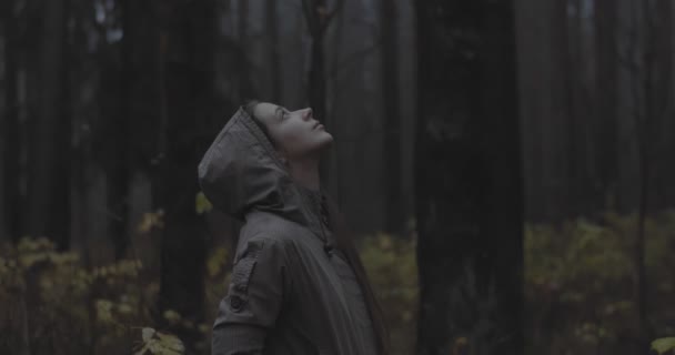 Unbekannte gehen allein auf einem Pfad von hinten. Glückliche Touristen genießen die Natur beim Spaziergang durch nebligen Wald. Teenager in brauner Jacke ruht sich nach Studium gesunden Lebensstils im Freien aus — Stockvideo