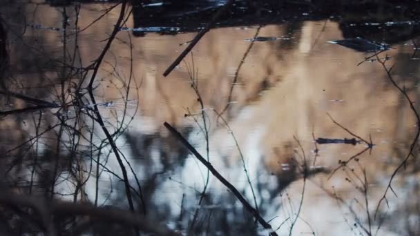 Bewegungstapete von wilden Teich in Nahaufnahme mit Himmelsspiegelung. Helle Wasseroberfläche Ansicht der großen Pfütze auf der Natur Hintergrund kopieren Text Raum. Hochwasserkatastrophe im Frühjahr. Umweltschutz-Ökologie — Stockvideo
