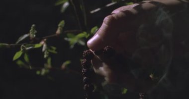 Erkek el hareketli duvar kâğıdı. Kapalı alandaki karanlık tapınak arka planındaki boncukları sayıyor. Tanınmayan keşiş tespih çekerken yalnız başına dua ediyor. Asya yaşam tarzı ruhani seyahat kavramı