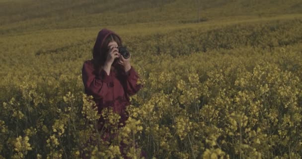 Щаслива жінка, що йде сама на ранковому квітковому полі, фотографуючи природу, повільно рухається на світанку. Молодий фотограф тримає камеру, роблячи фотографії на відкритому повітрі копіюють текстовий простір. Захист навколишнього середовища — стокове відео