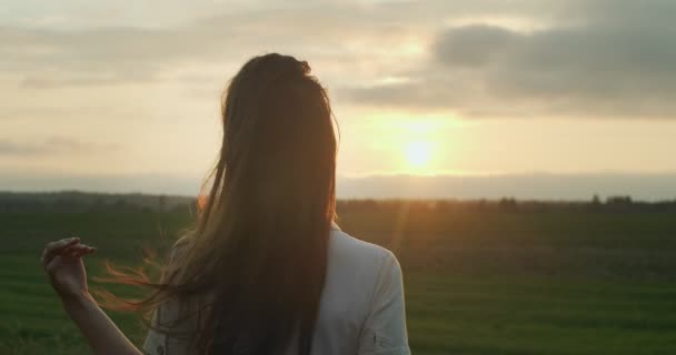 Retrato trasero de una chica de pelo largo acariciando el cabello en el fondo del atardecer del país copiando el espacio de texto. Mujer femenina de pie sola en la luz natural de la noche sobre la naturaleza. Productos de cuidado del cabello cosméticos — Vídeos de Stock