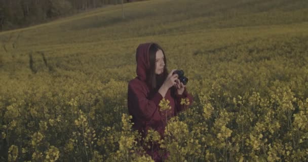 Chica en la capucha de pie en el campo amarillo haciendo fotos en la cámara profesional al aire libre. Joven fotógrafo de fotografía naturaleza copiar el espacio de texto dispositivo de mano. Hobby fotografía concepto de equipo — Vídeos de Stock