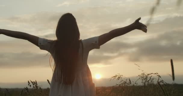 Rugportret van een meisje dat zich buiten uitstrekt en een nieuwe dag begroet in slow motion. Onherkenbare vrouw geniet van het leven in het veld zonsondergang zonsopgang achtergrond. Positief leefstijlconcept — Stockvideo