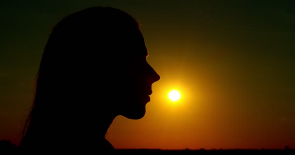 Makro kontrast profil kvinnliga ansikte kysser solen på mättad solnedgång bakgrund kopiera textutrymme. Sidovy av kvinnor ansikte närbild utomhus kväll gyllene ljus. Resor sommar semester turism — Stockvideo